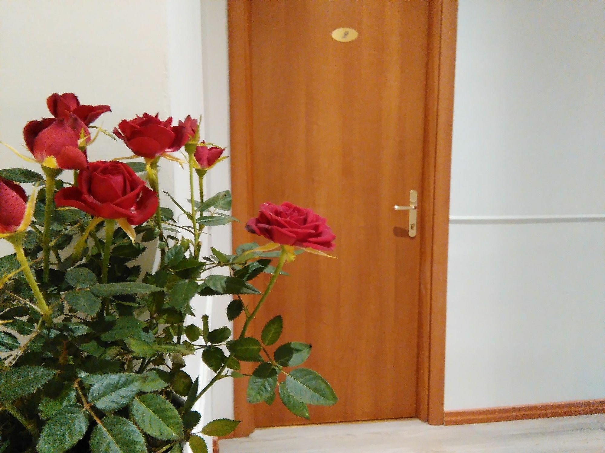 Villa Borghese Guest House Róma Kültér fotó